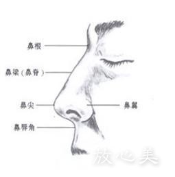 上海交通大学医学院附属第三人民医院烧伤整形科做综合隆鼻技术怎么样？