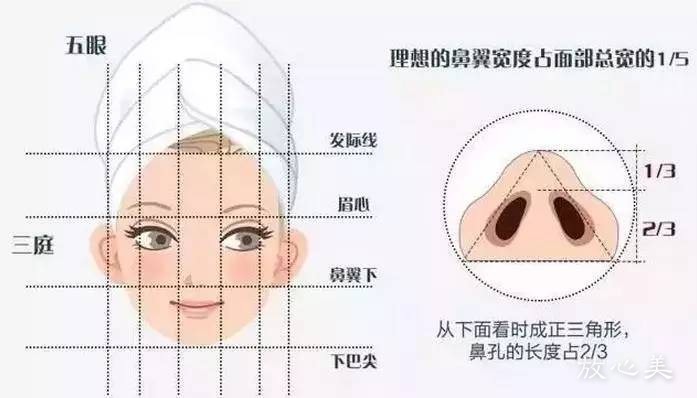 天津市第四医院烧伤整形科做综合隆鼻需要多少钱 有副作用吗 